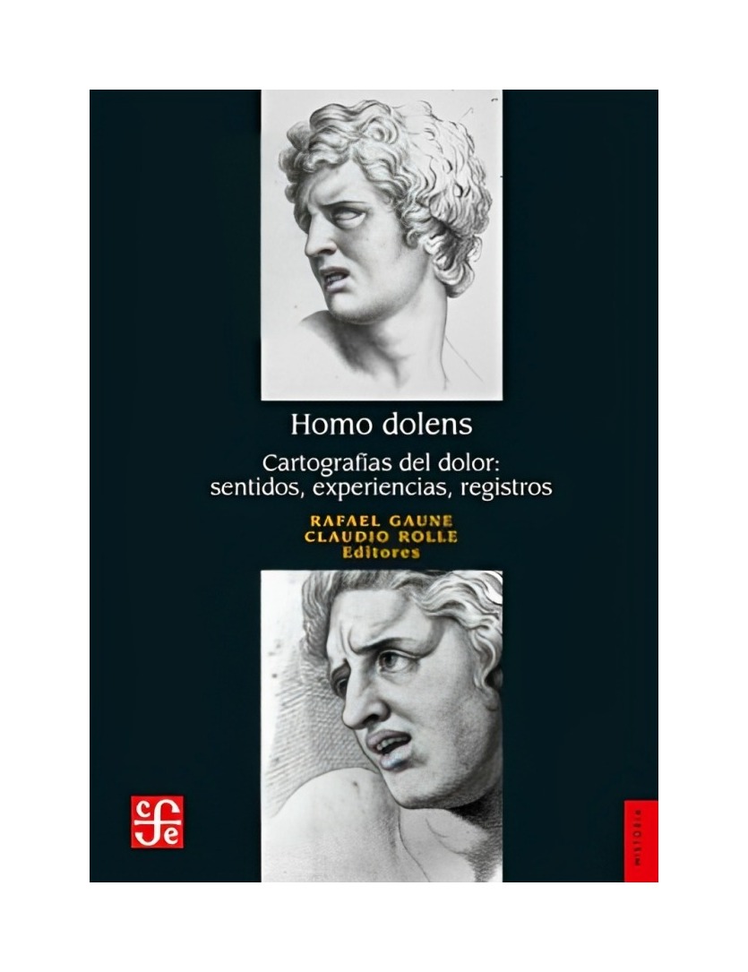 LIBRO HOMO DOLENS. CARTOGRAFIAS DEL DOLOR, SENTIDOS, EXPERIENCIAS RAFAEL GAUN - 1