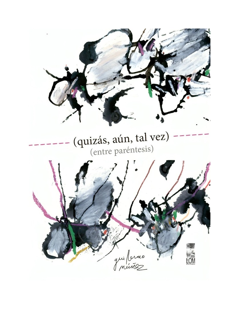 LIBRO QUIZAS, AUN, TAL VEZ ENTRE PARENTESIS EDICIONES L GUILLERMO NUNEZ