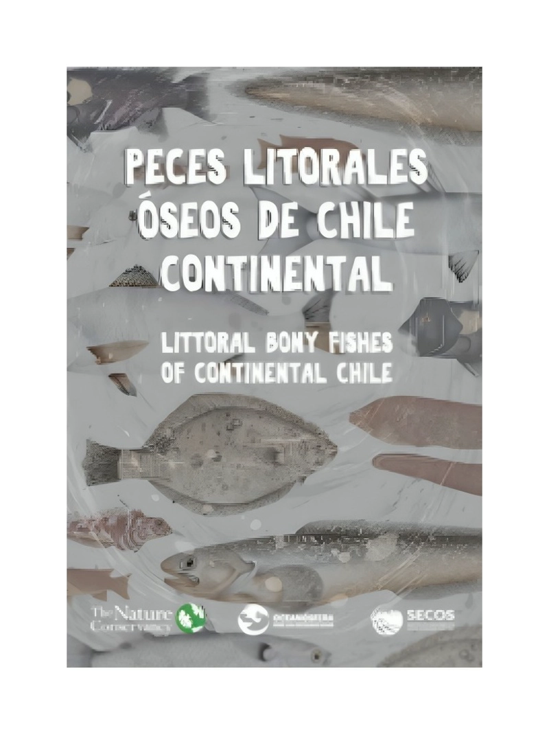 LIBRO PECES LITORALES OSEOS DE CHILE CONTINENTAL / FUNDACION OCEANOSFERA / EDIC - 1