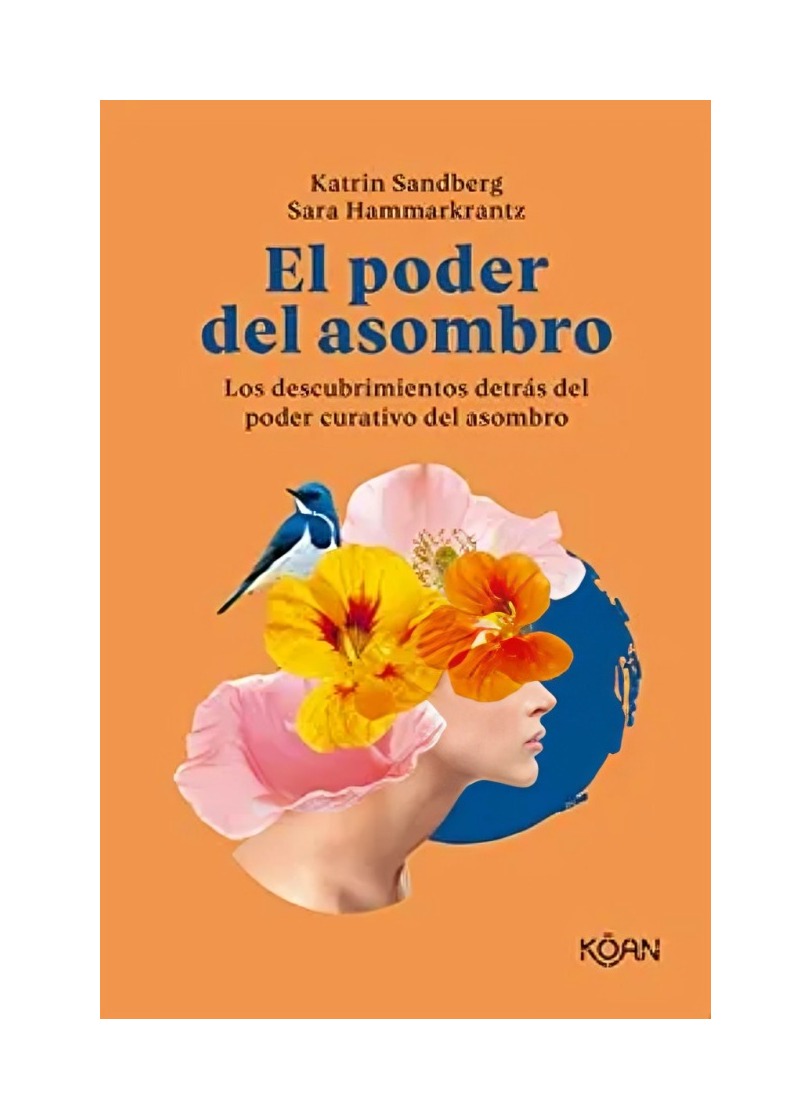 LIBRO EL PODER DEL ASOMBRO / SARA HAMMARKRANTZ Y KATRIN SANDBERG / KOAN - 1