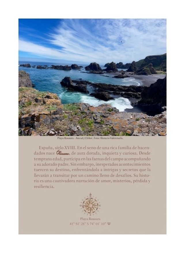 LIBRO ROSAURA HORACIO VALENZUELA FÁEZ EDITORIAL PALOMO - 2