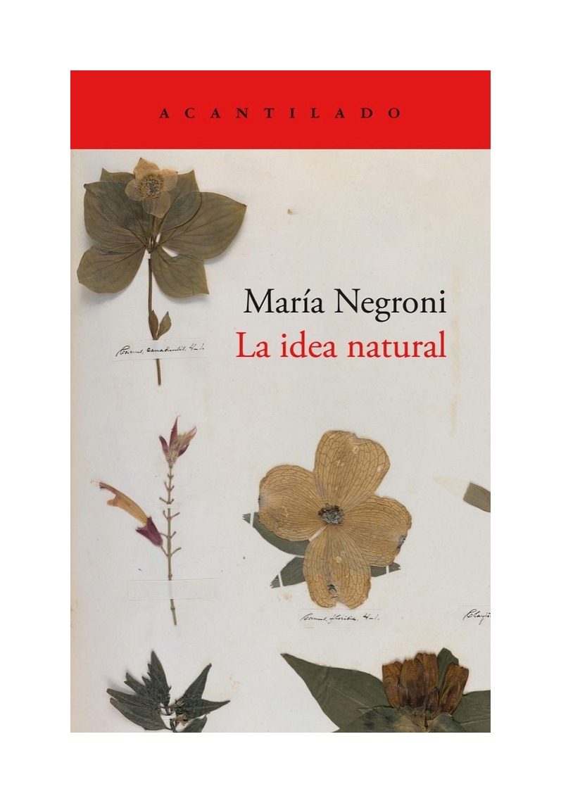 LIBRO LA IDEA NATURAL / ACANTILADO / MARIA NEGRONI - 1