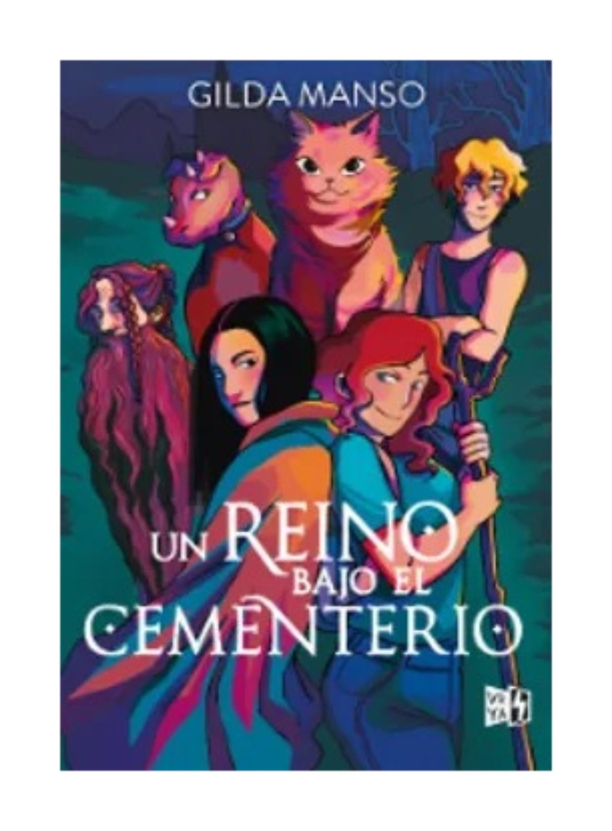 LIBRO UN REINO BAJO EL CEMENTERIO / VERGARA & RIBA / GILDA MANSO - 1