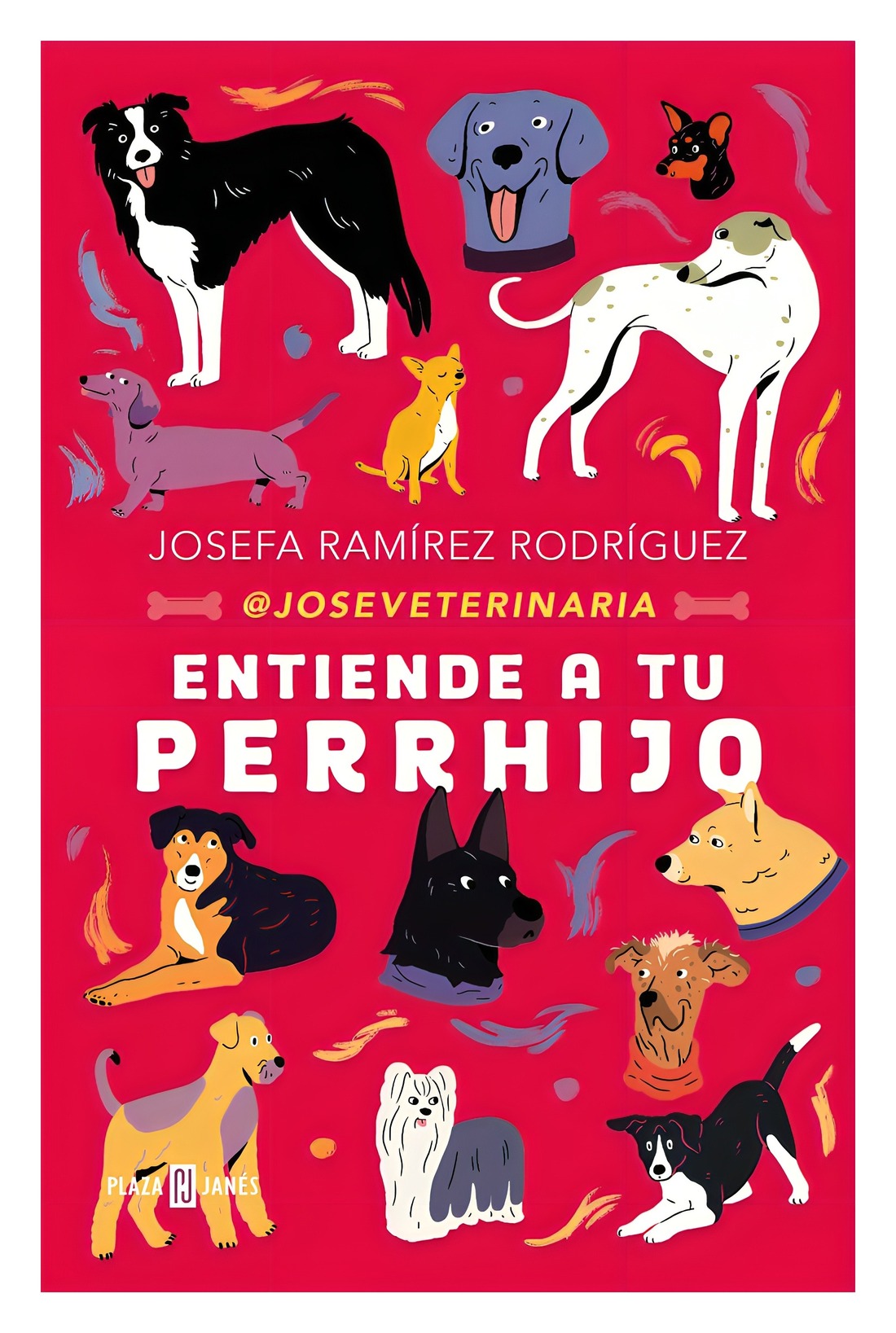 LIBRO ENTIENDE A TU PERRHIJO / PLAZA & JANES / JOSEFA RAMIREZ RODRIGUEZ - 1