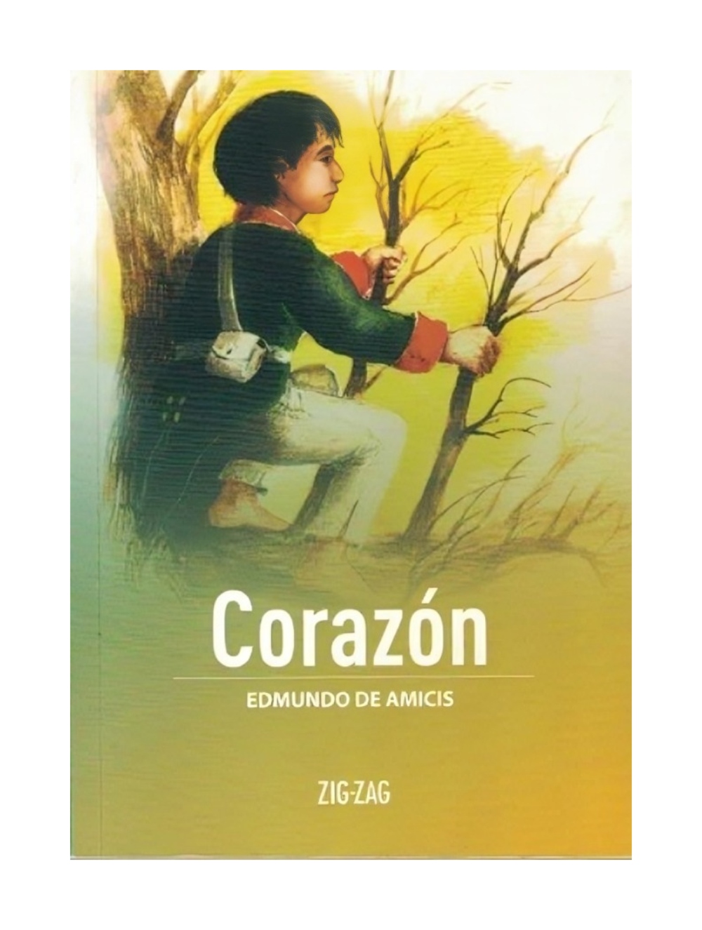 LIBRO CORAZON / ZIG-ZAG / EDMUNDO DE AMICIS - 1