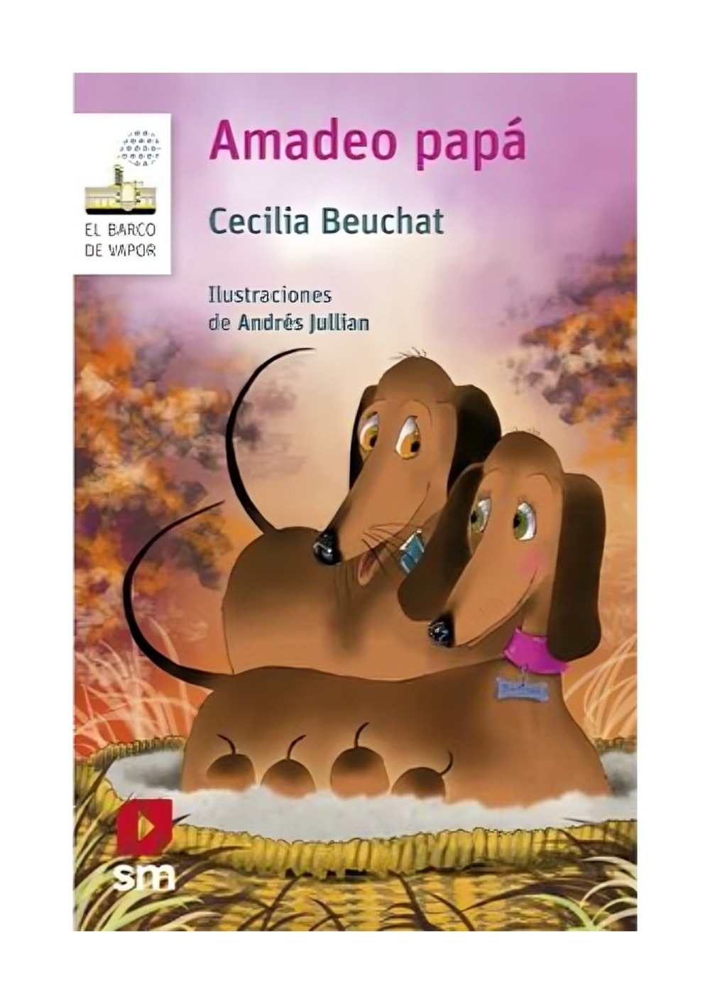 LIBRO AMADEO PAPA / EDICIONES SM / - 1