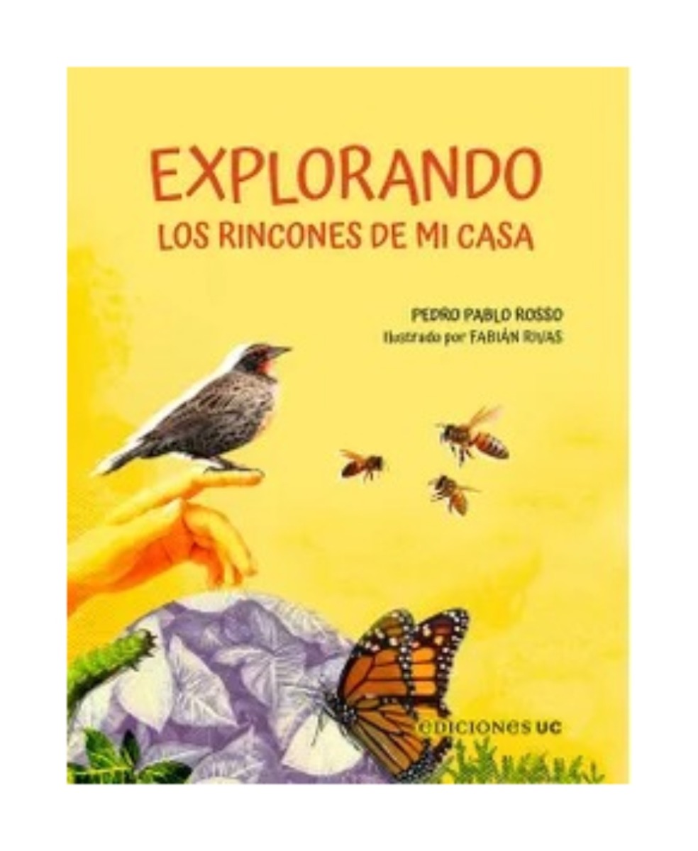 LIBRO INFANTIL EXPLORANDO LOS RINCONES DE MI CASA PEDRO PABLO ROSSO, FABIÁN RIVAS - 1