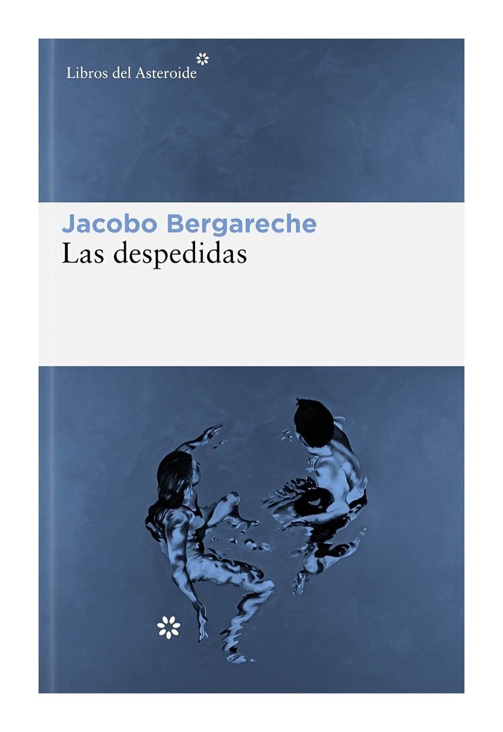 LIBRO LAS DESPEDIDAS JACOBO BERGARECHE - 1