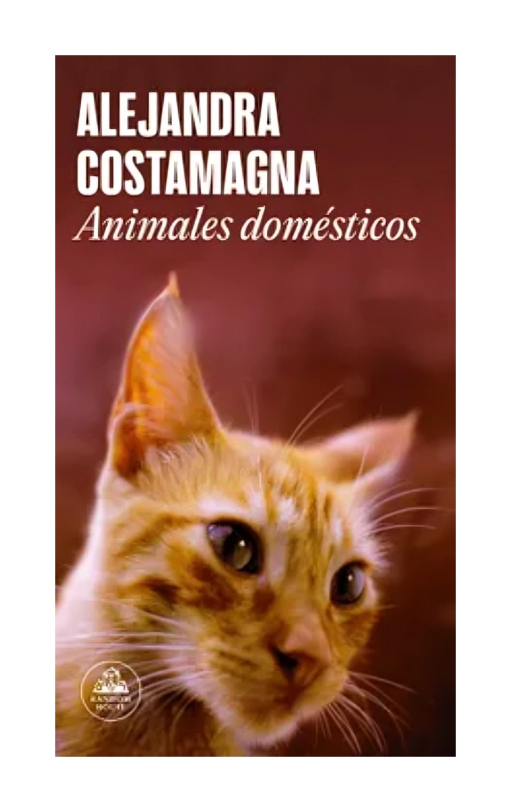 LIBRO ANIMALES DOMÉSTICOS ALEJANDRA COSTAMAGNA - 1
