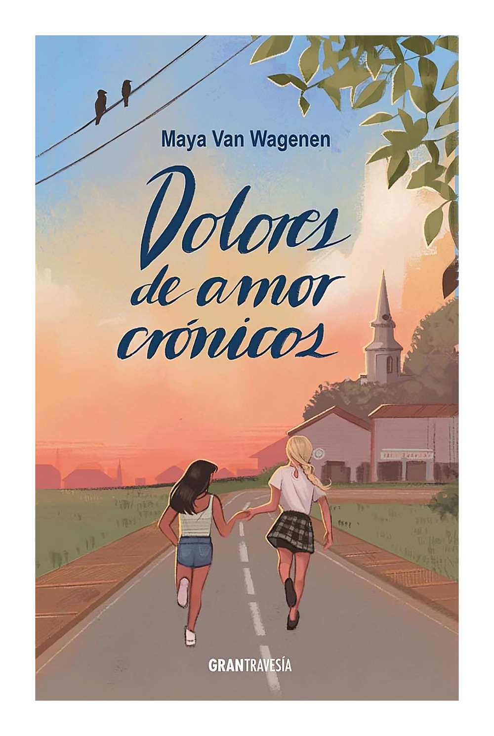 LIBRO DOLORES DE AMOR CRONICOS MAYA VAN WAGENEN - 1