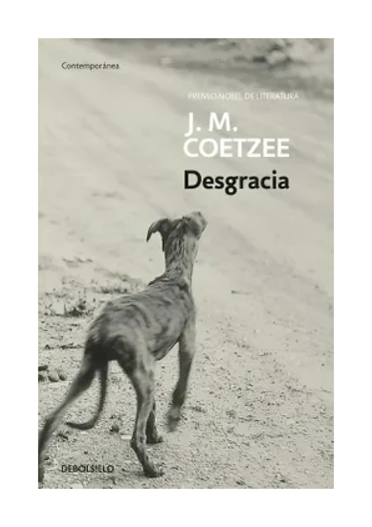 LIBRO DESGRACIA J.M. COETZEE - 1