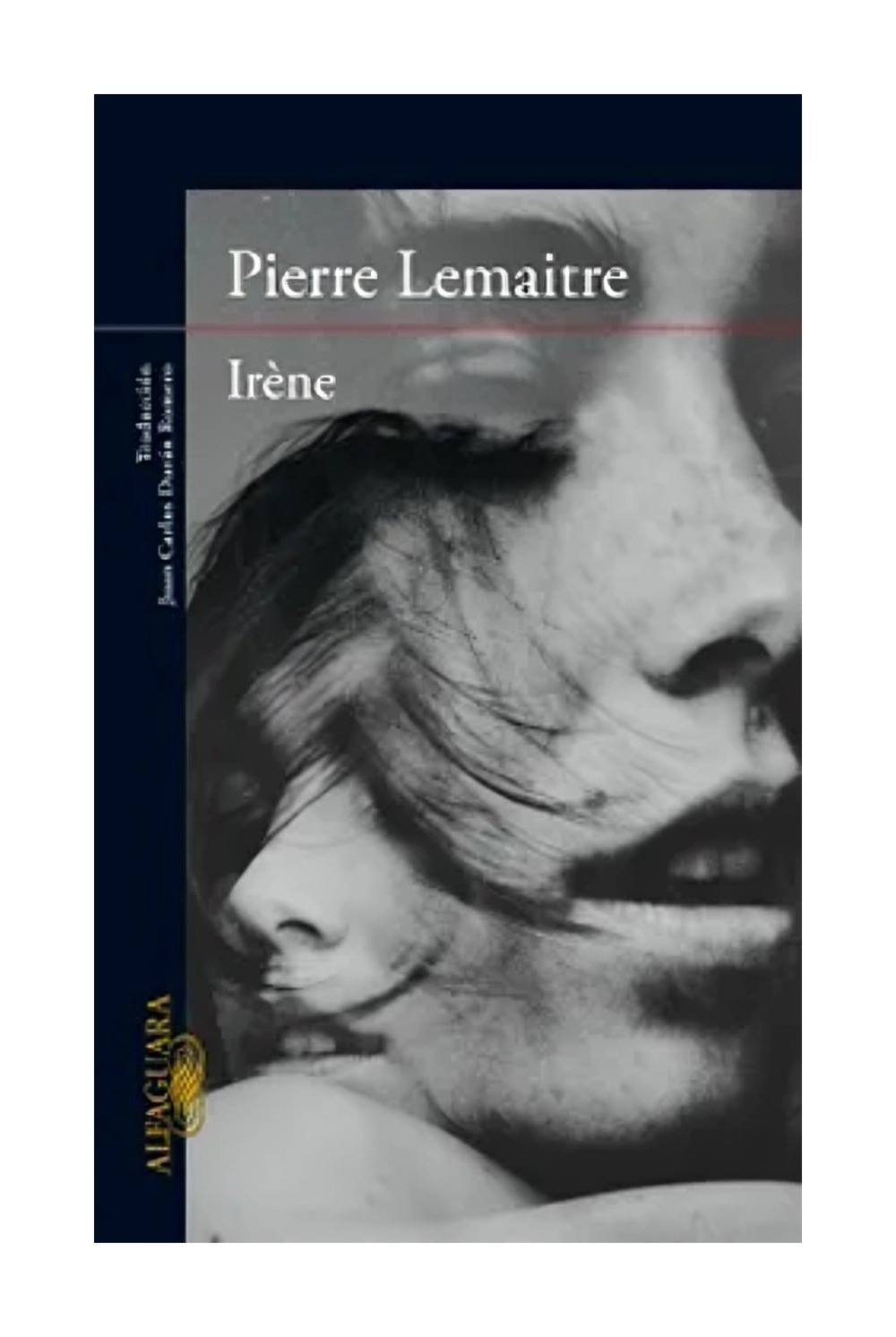 LIBRO IRENE PIERRE LEMAITRE - 1