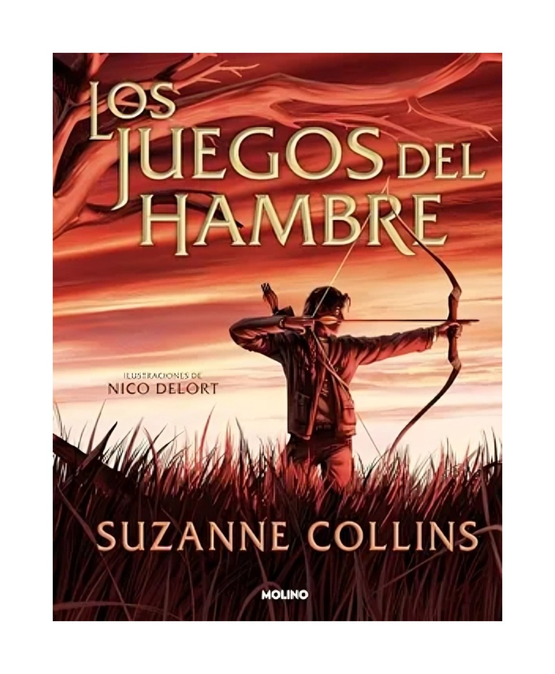 LIBRO LOS JUEGOS DEL HAMBRE 1 EDICIÓN ILUSTRADA SUZANNE COLLINS - 1