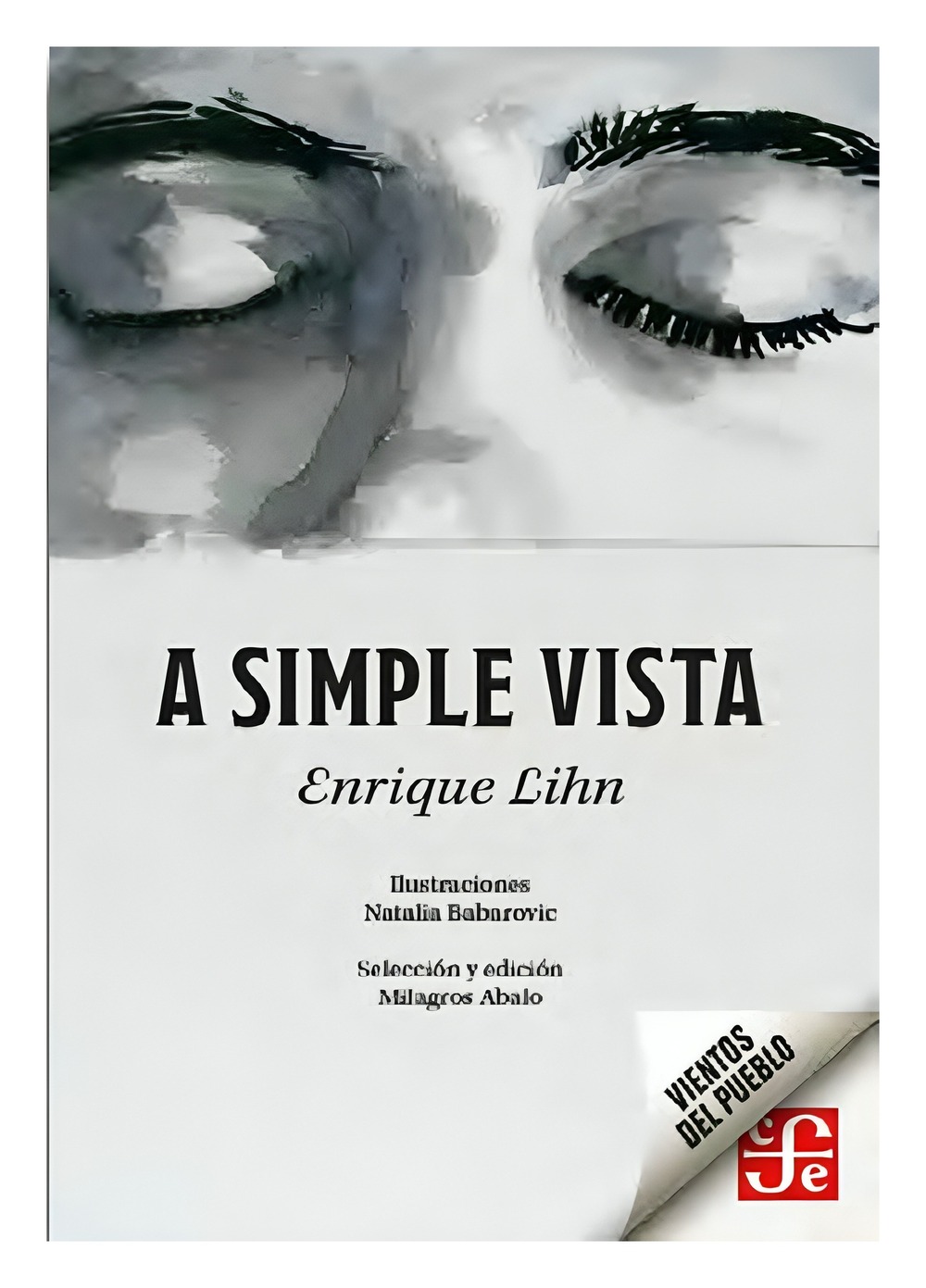 LIBRO A SIMPLE VISTA / ENRIQUE LIHN, NATALIA BABAROVIC / FONDO DE CULTURA ECONO - 1