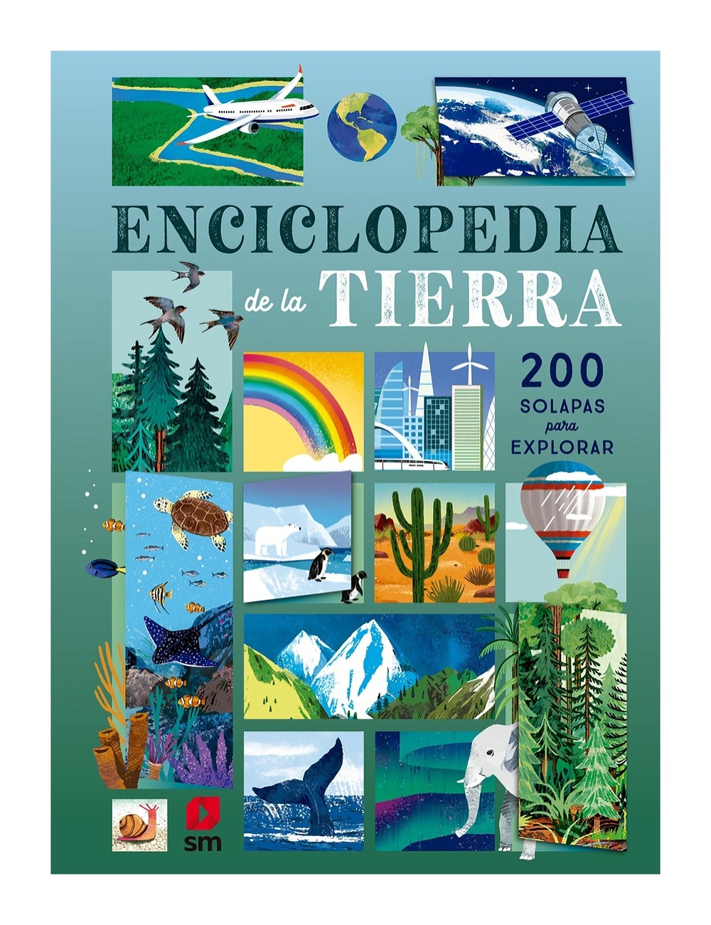 LIBRO ENCICLOPEDIA DE LA TIERRA / RUTH MARTIN / SM - 1