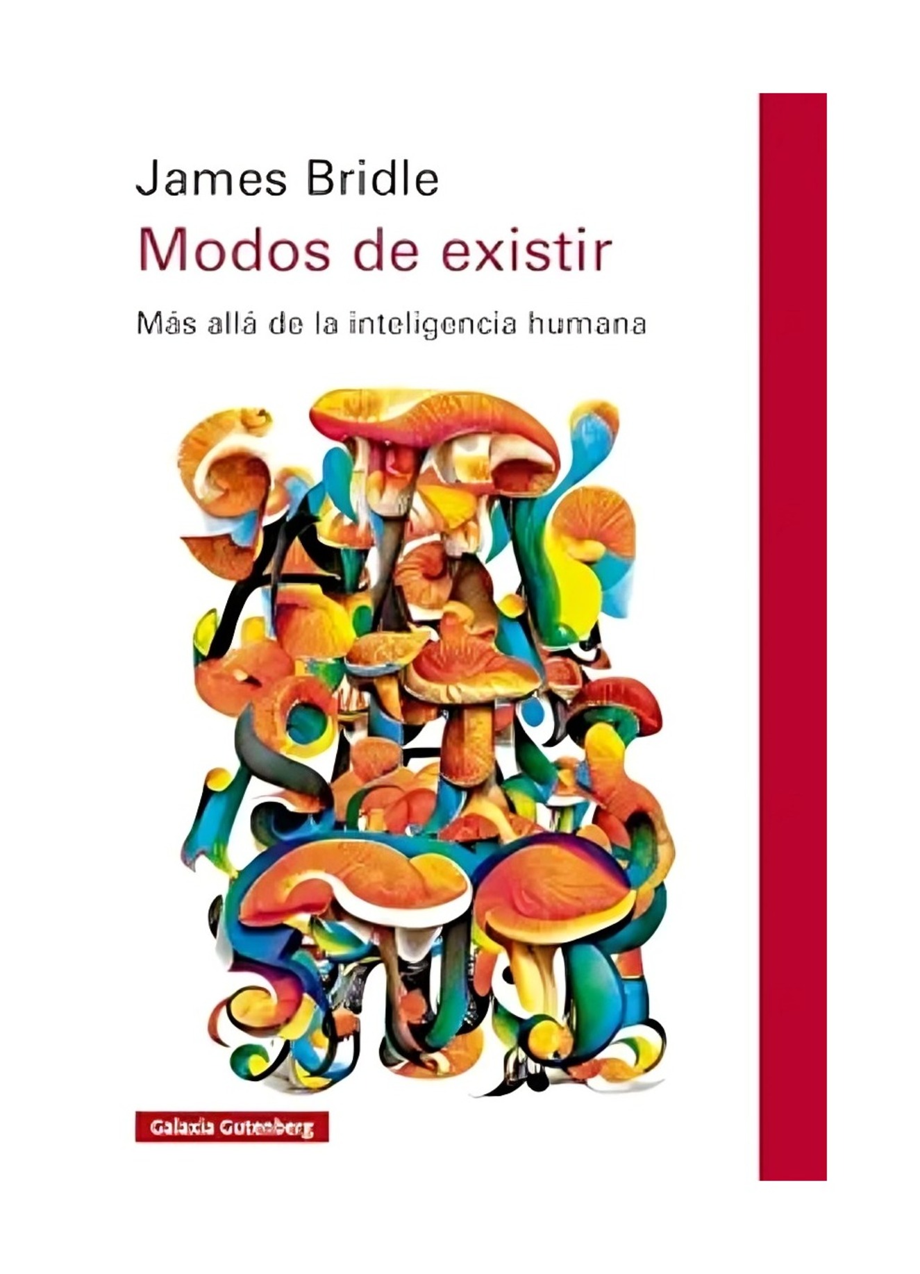 LIBRO MODOS DE EXISTIR. / JAMES BRIDLE / GALAXIA GUTENBERG - 1