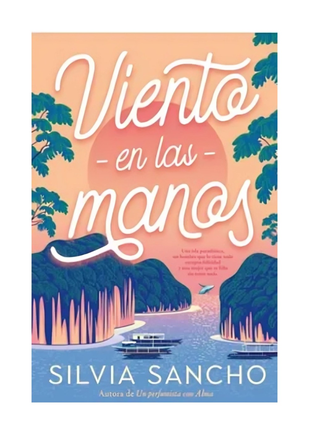 LIBRO VIENTO EN LAS MANOS / SILVIA SANCHO / TITANIA - 1
