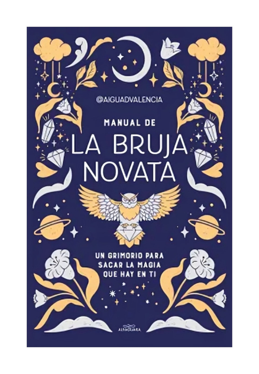LIBRO MANUAL DE LA BRUJA NOVATA / - AAIGUADVALENCIA / ALFAGUARA INFANTIL JUVENI - 1