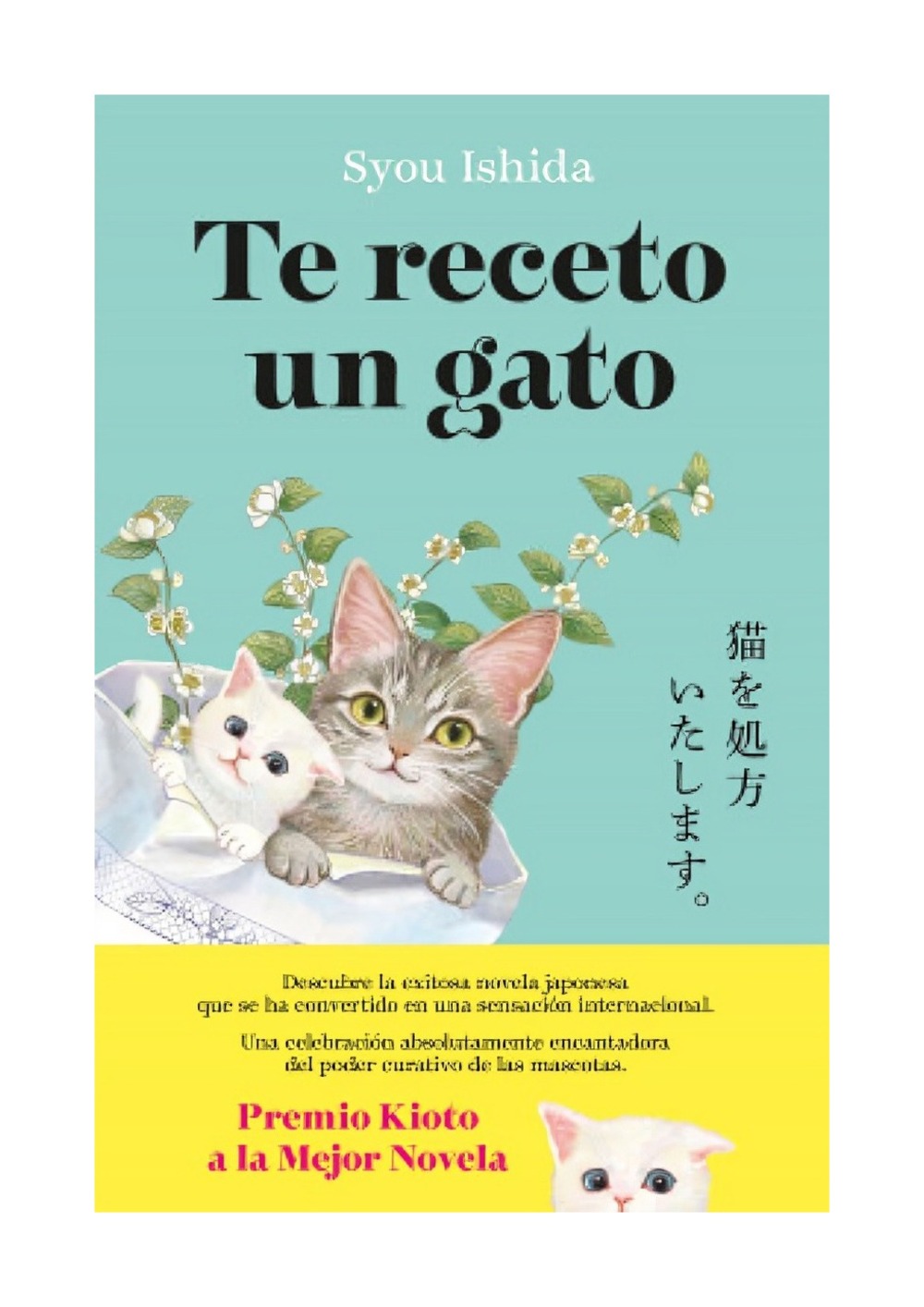 LIBRO TE RECETO UN GATO / TE RECETO UN GATO / ¿QUIE N IMAGINARIA QUE LA CURA PER - 1