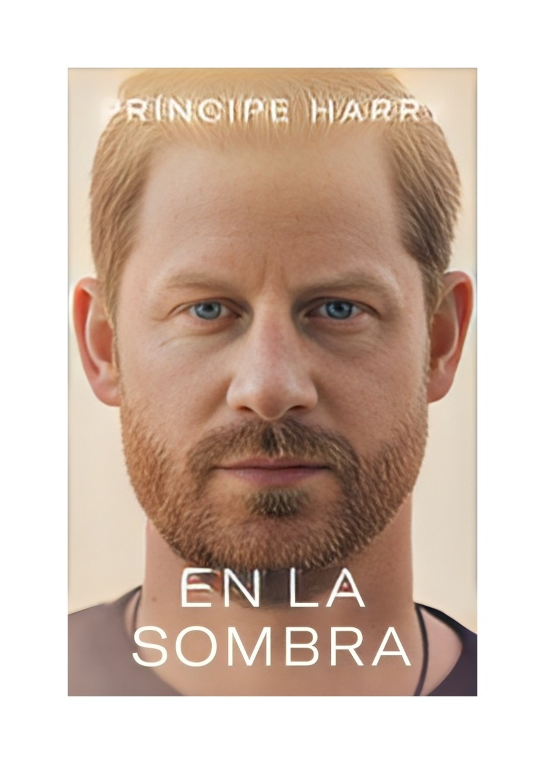 LIBRO EN LA SOMBRA / EN LA SOMBRA / LA HISTORIA REAL EN PRIMERA PERSONA DEL PRI - 1