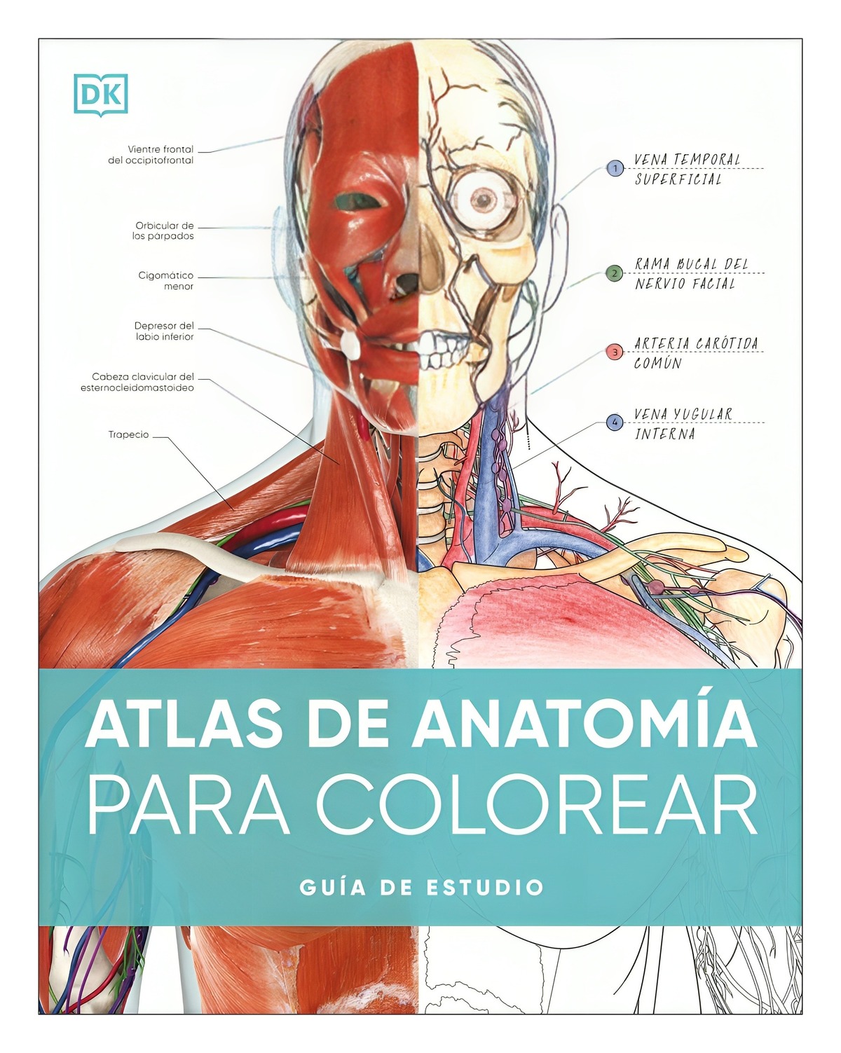 LIBRO ATLAS DE ANATOMIA PARA COLOREAR / AUTORES DK / DK - 1