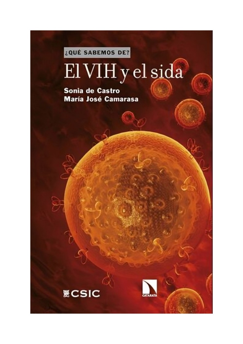 LIBRO EL VIH Y EL SIDA / SONIA DE CASTRO; MARIA JOSE CAMARASA / CATARATA - 1