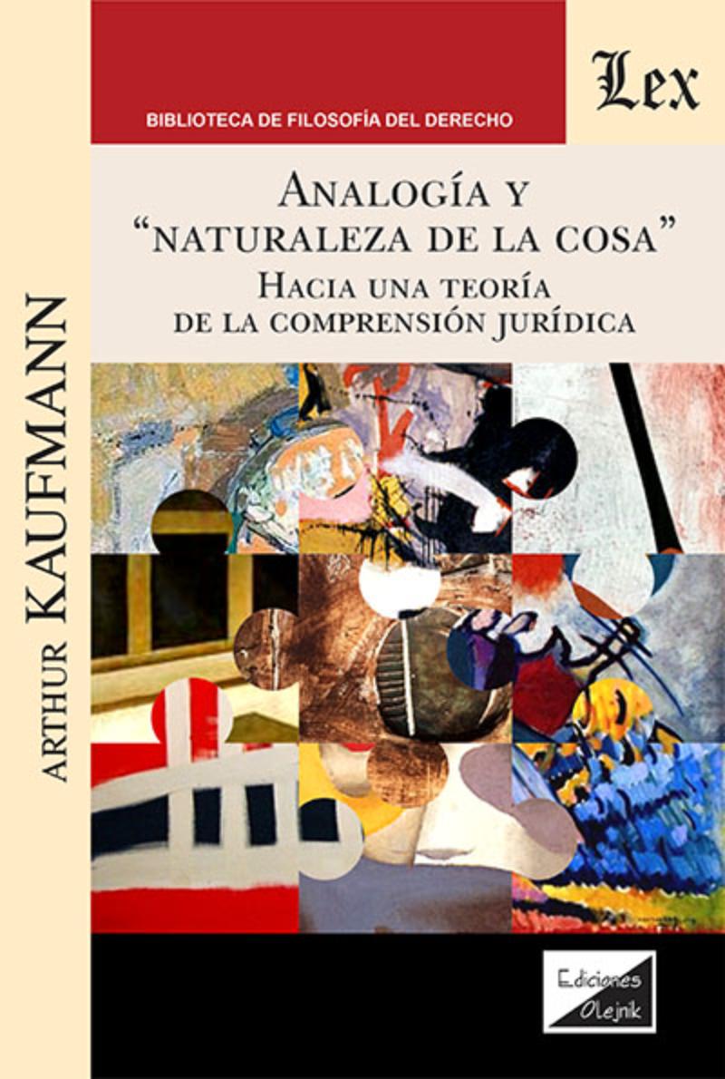 LIBRO ANALOGIA Y NATURALEZA DE LA COSA / ARTHUR KAUFMANN / OLEJNIK EDICIONES - 1