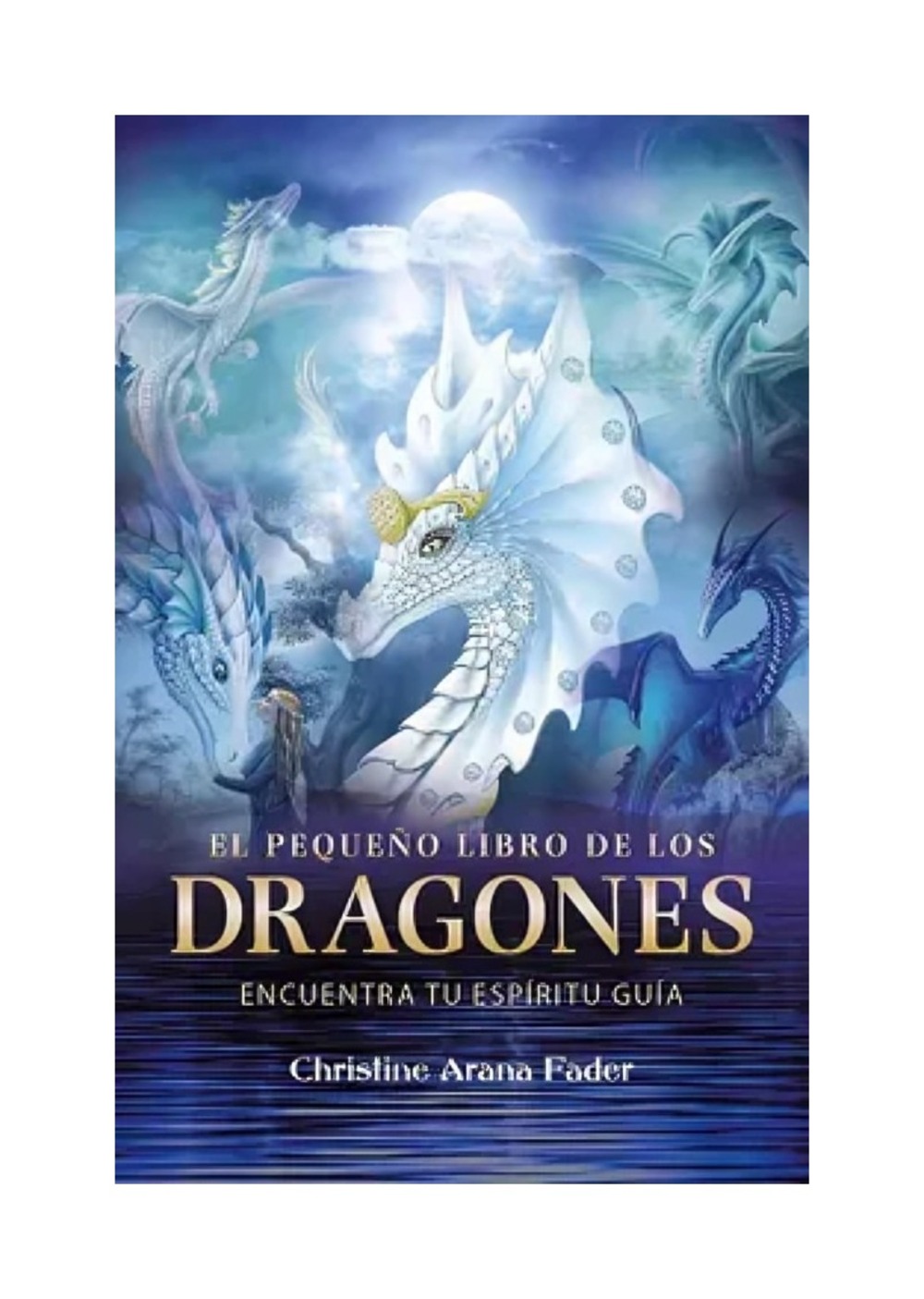 LIBRO EL PEQUEÑO LIBRO DE LOS DRAGONES / CHRISTINE ARANA FADER / OCE ANO - 1