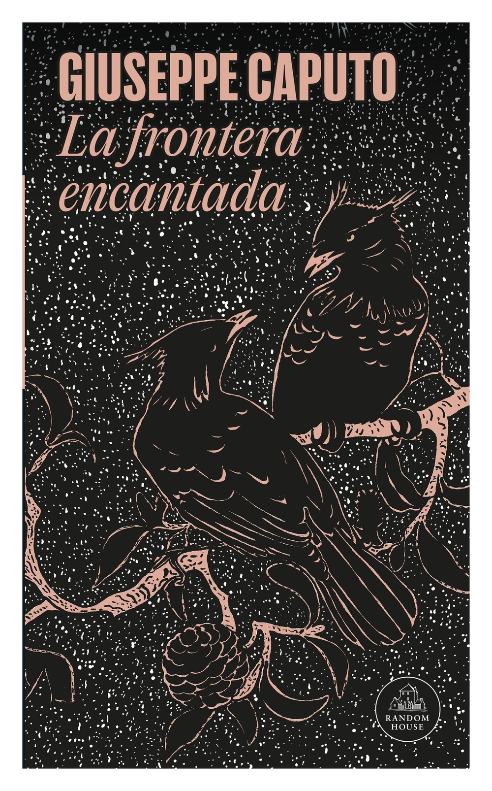 LIBRO LA FRONTERA ENCANTADA / UNA NOVELA SOBRE LOS MISTERIOS DEL MUNDO INFANTIL - 1