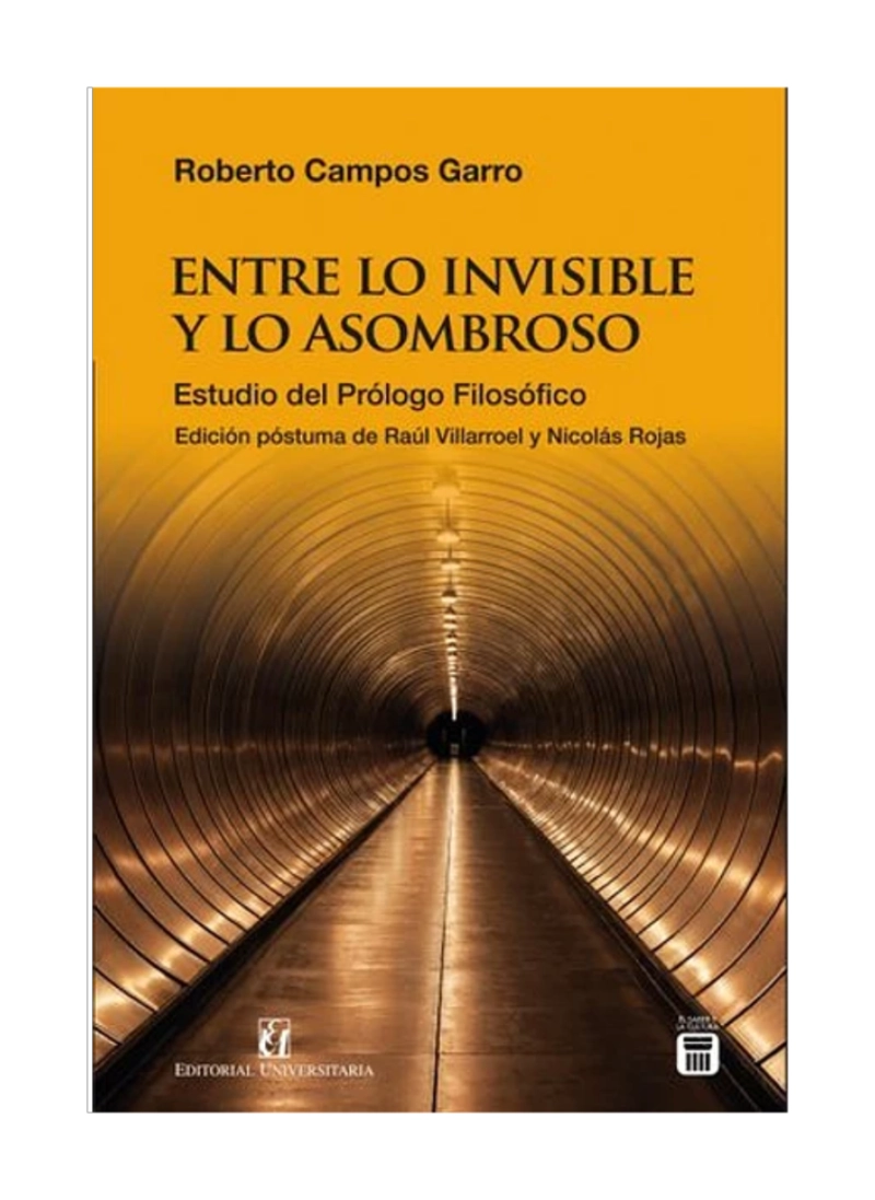 ENTRE LO INVISIBLE Y LO ASOMBROSO - ROBERTO CAMPOS GARRO - 1