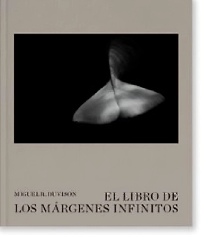 EL LIBRO DE LOS MARGENES INFINITOS - MIGUEL DIVISION - 1