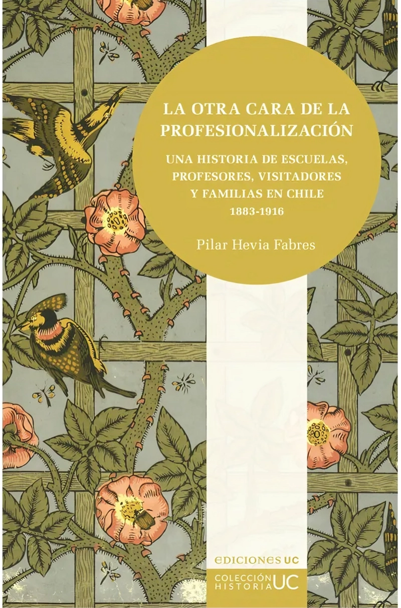 LIBRO LA OTRA CARA DE LA PROFESIONALIZACION - PILAR HEVIA FABRES - 1