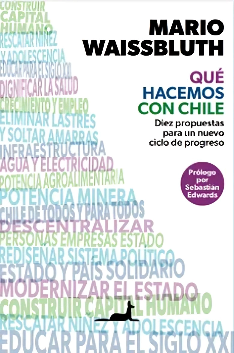 LIBRO QUE  HACEMOS CON CHILE - MARIO WAISSBLUTH - 1