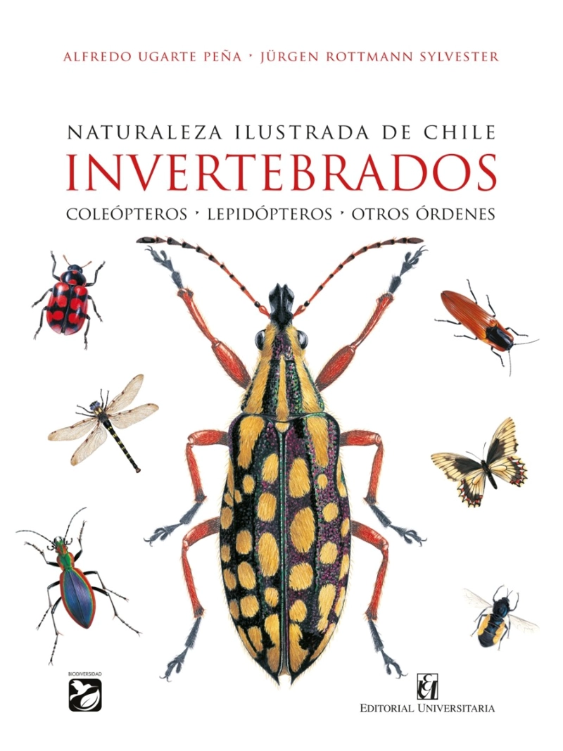 LIBRO NATURALEZA ILUSTRADA DE CHILE. INVERTEBRADOS. COLEOPTEROS - LEPIDOPTEROS - OTROS ORDENES - 1