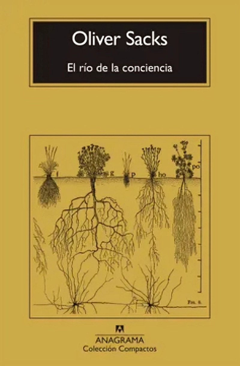 LIBRO EL RIO DE LA CONCIENCIA - OLIVER SACKS - 1