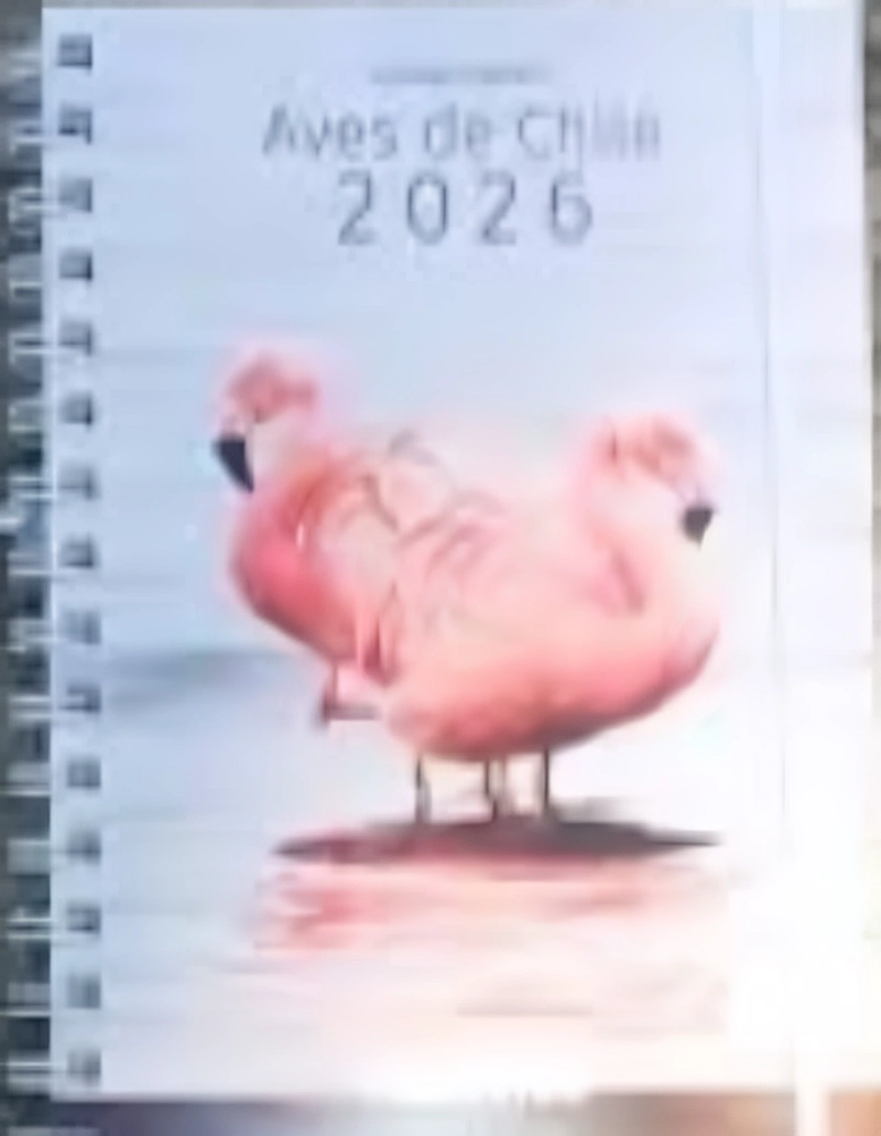AGENDA AVES DE CHILE 2026 SEMANA A LA VISTA - TEMATICA CHILE - 1