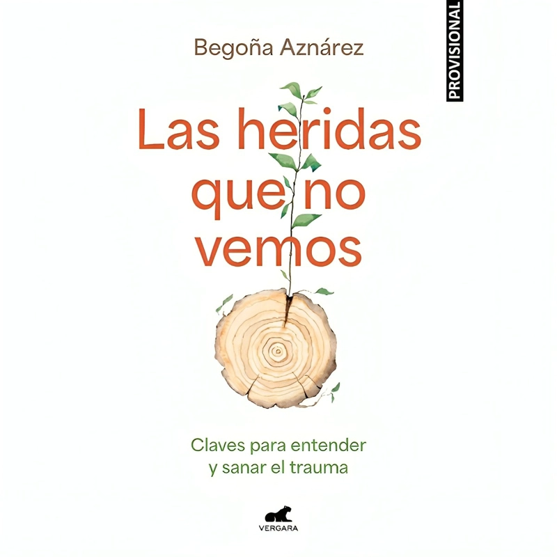 LIBRO LAS HERIDAS QUE NO VEMOS - BEGOÑA AZNAREZ - 1