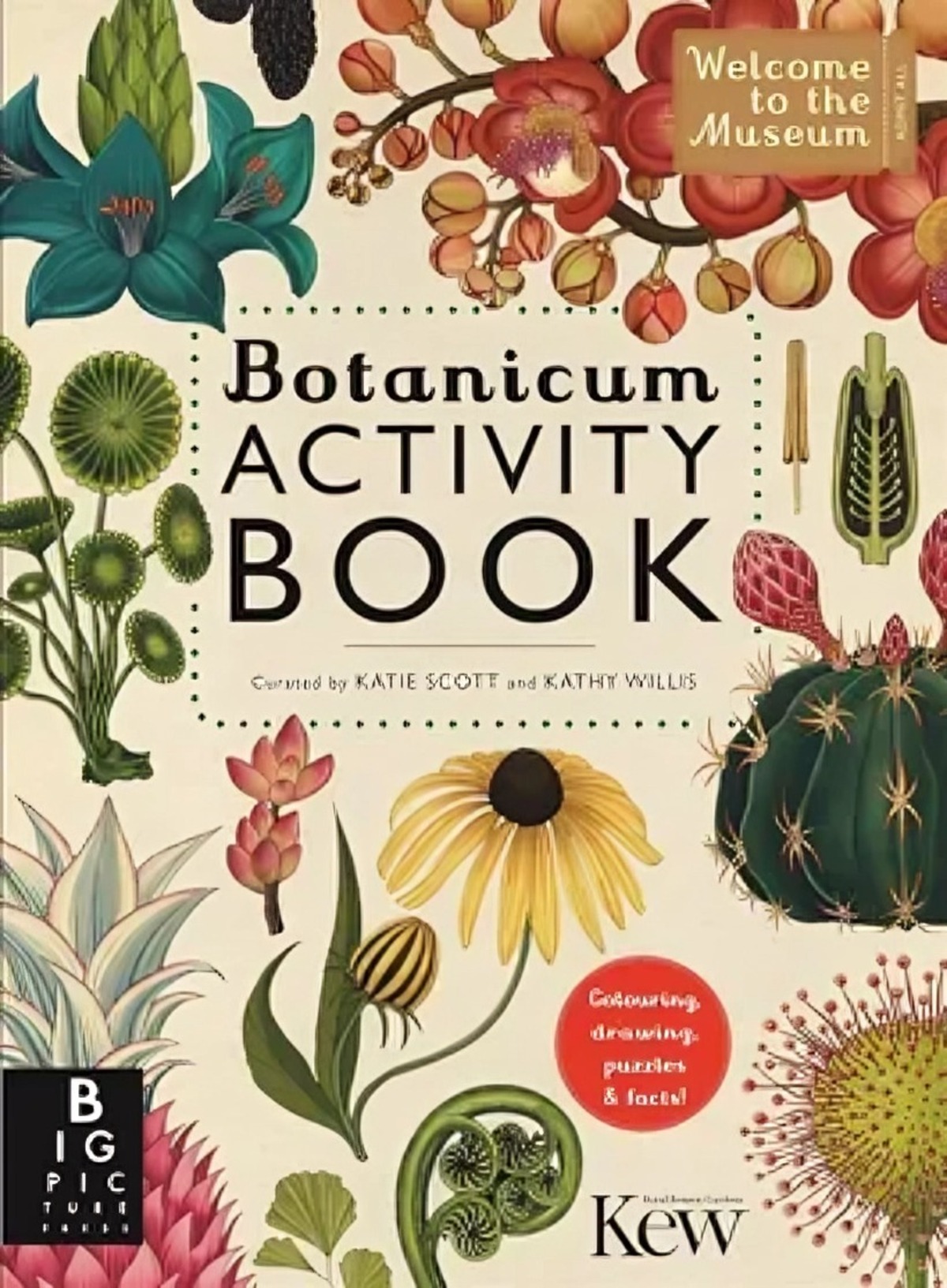 LIBRO BOTANICUM - KATIE SCOTT; KATHY WILLIS - 1