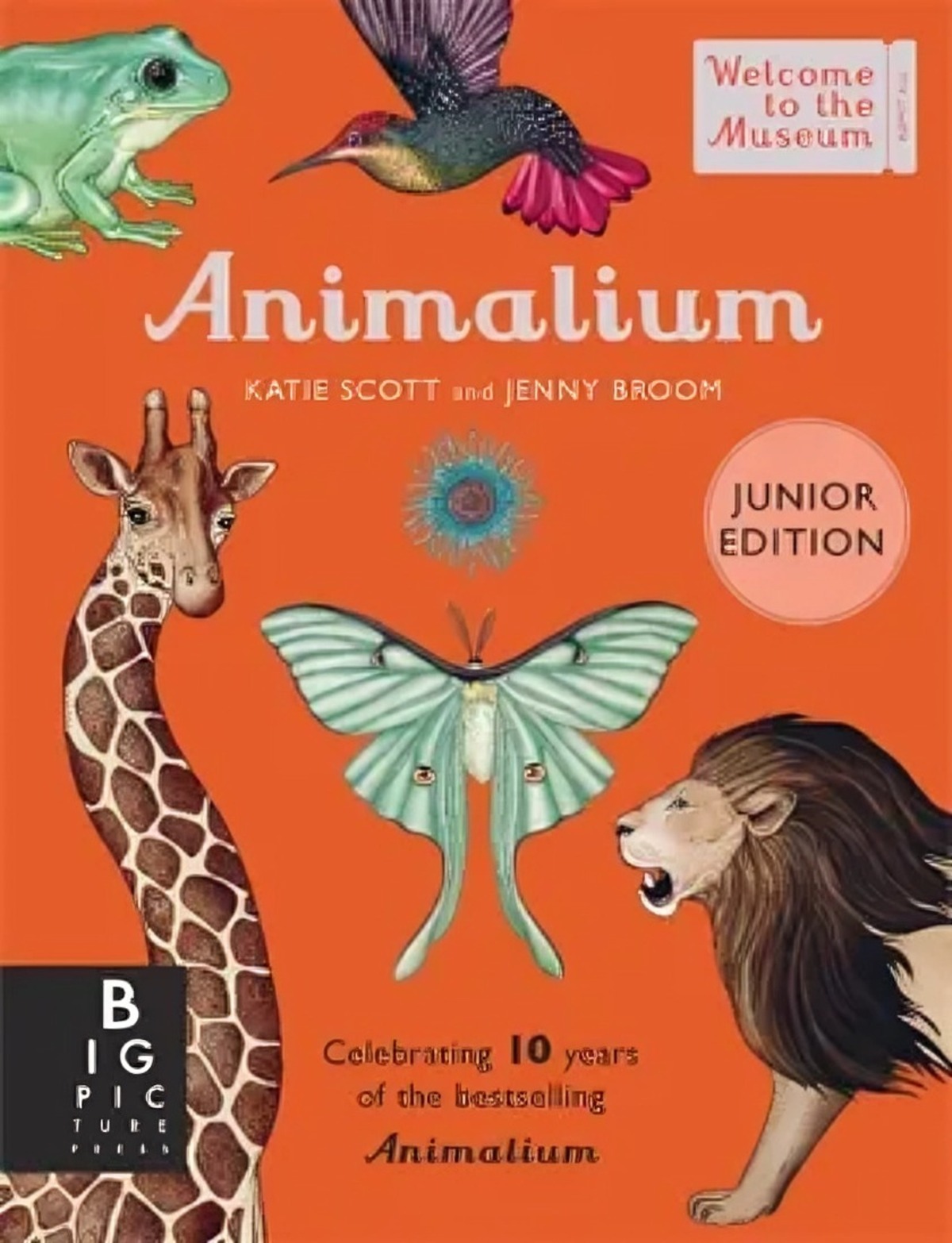 LIBRO ANIMALIUM - JUNIOR EDITION - JENNY BROOM - 1