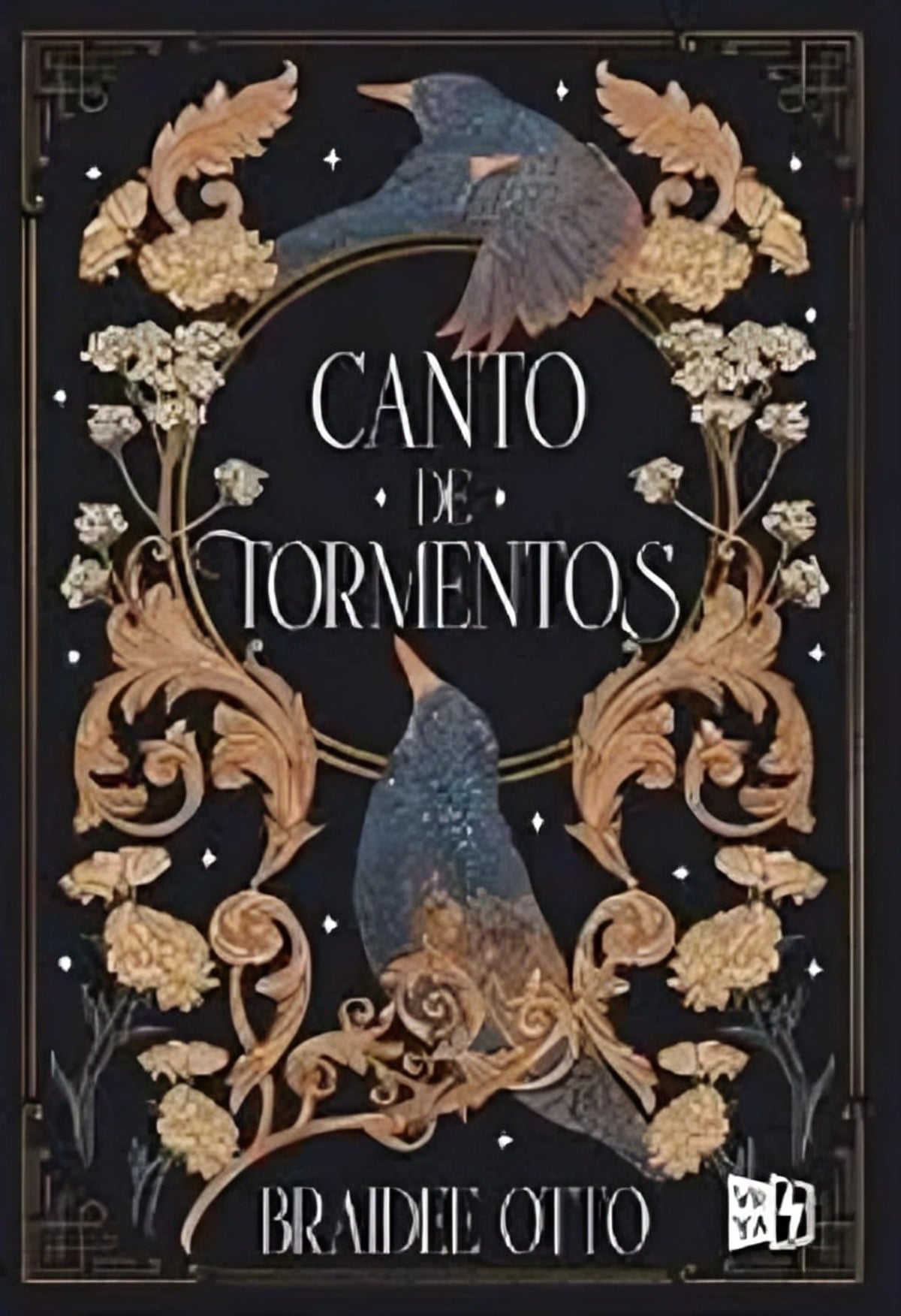 LIBRO CANTO DE TORMENTOS - BRAIDEE OTTO - 1