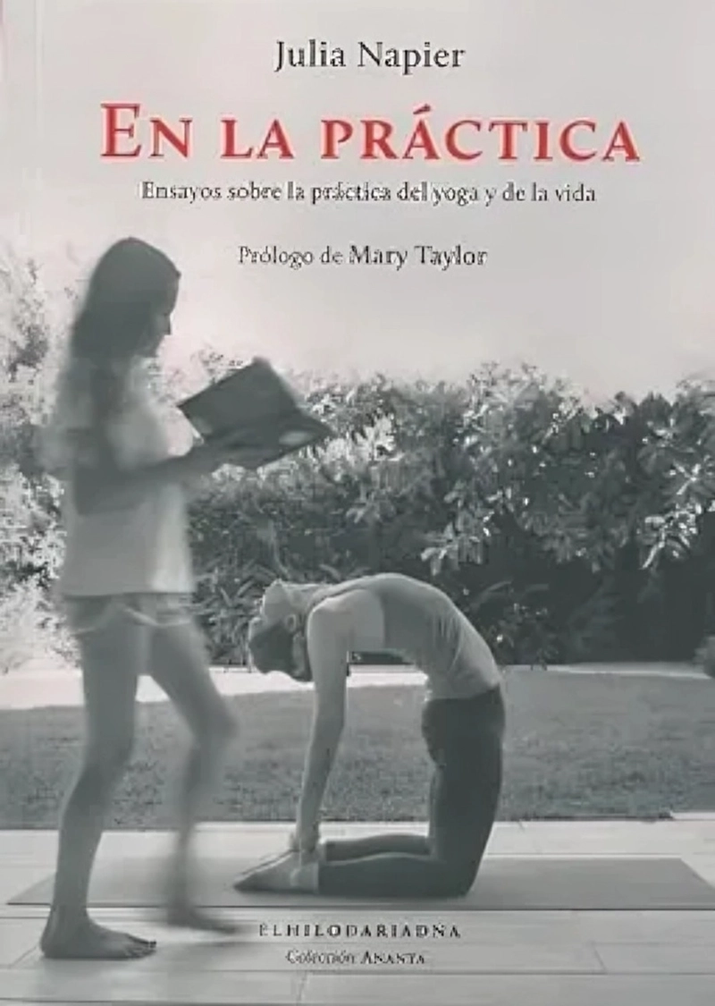 LIBRO EN LA PRACTICA - JULIA NAPIER - 1