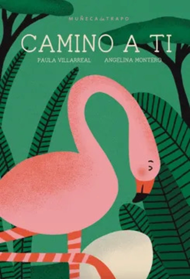 LIBRO CAMINO A TI - PAULA VILLARREAL - 2