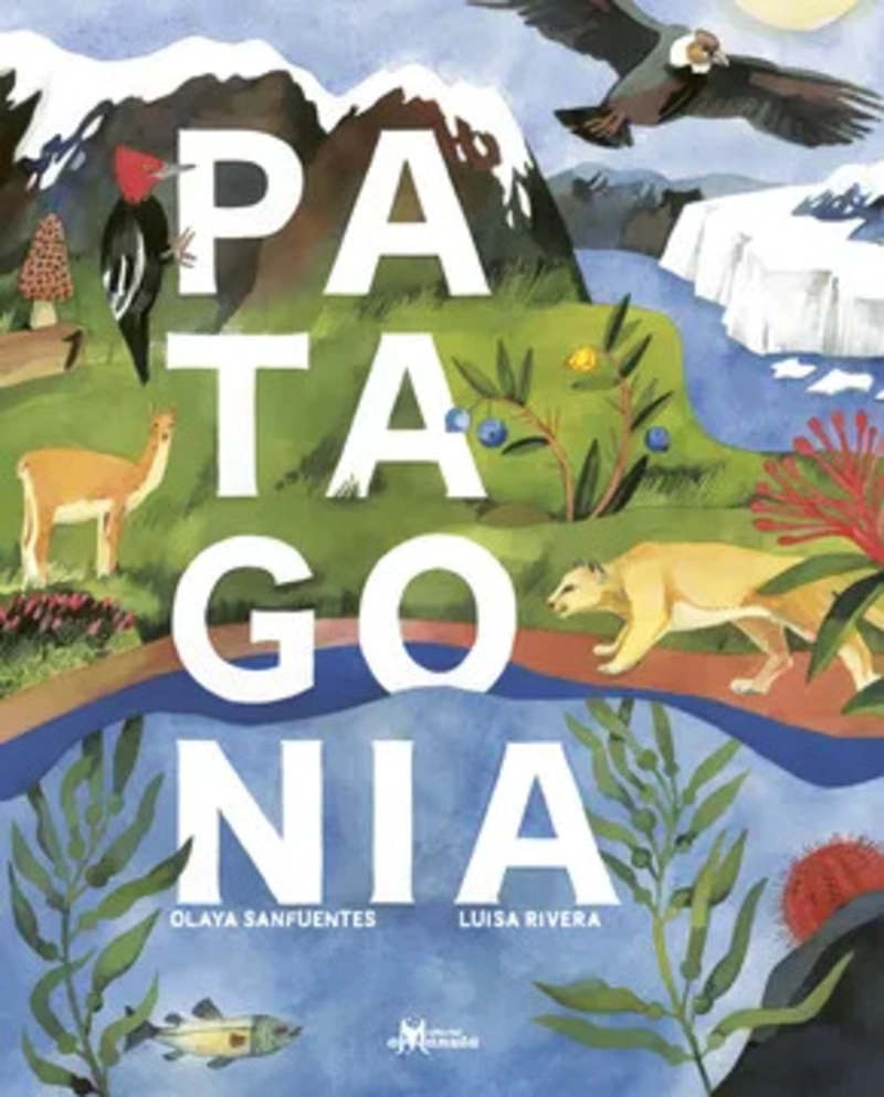 LIBRO PATAGONIA - 1