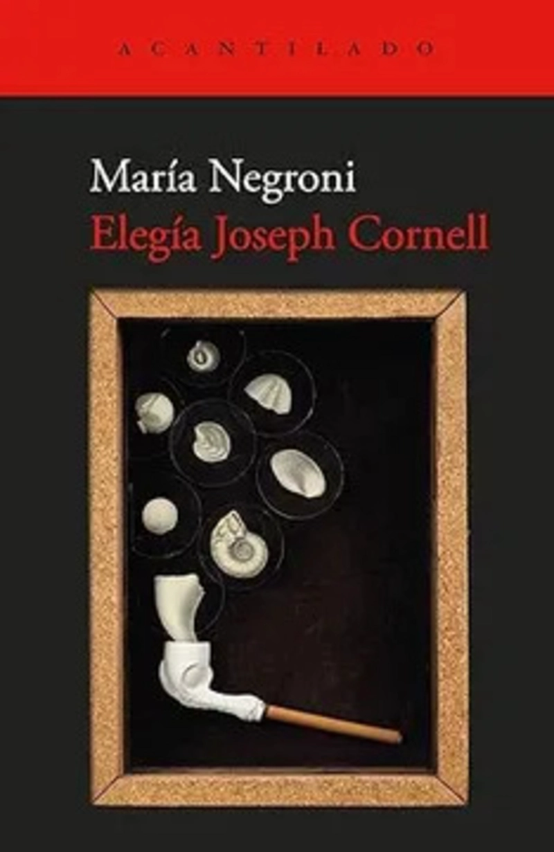 LIBRO ELEGIA JOSEPH CORNELL - 1