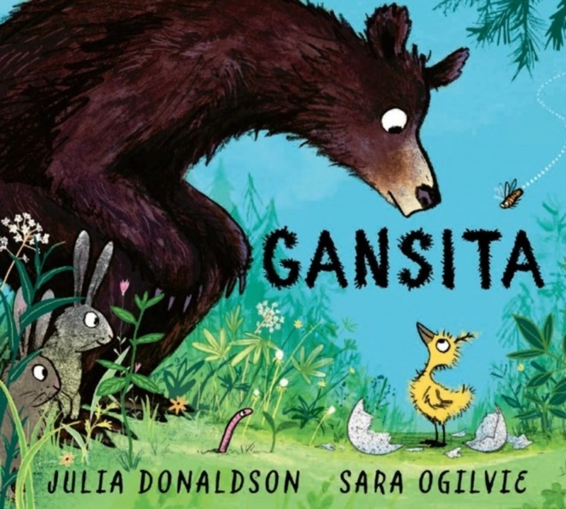 LIBRO GANSITA - 2