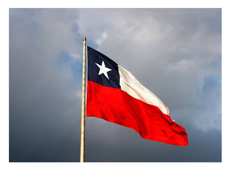 BANDERA CHILENA TELA 90 X 135 - 3