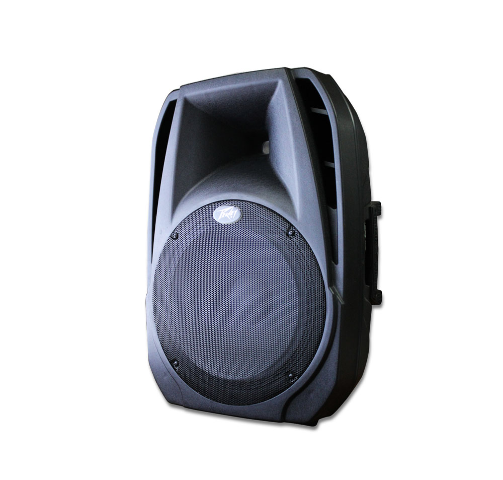 CAJA ACUSTICA PASIVA PBK-15 PEAVEY - 1