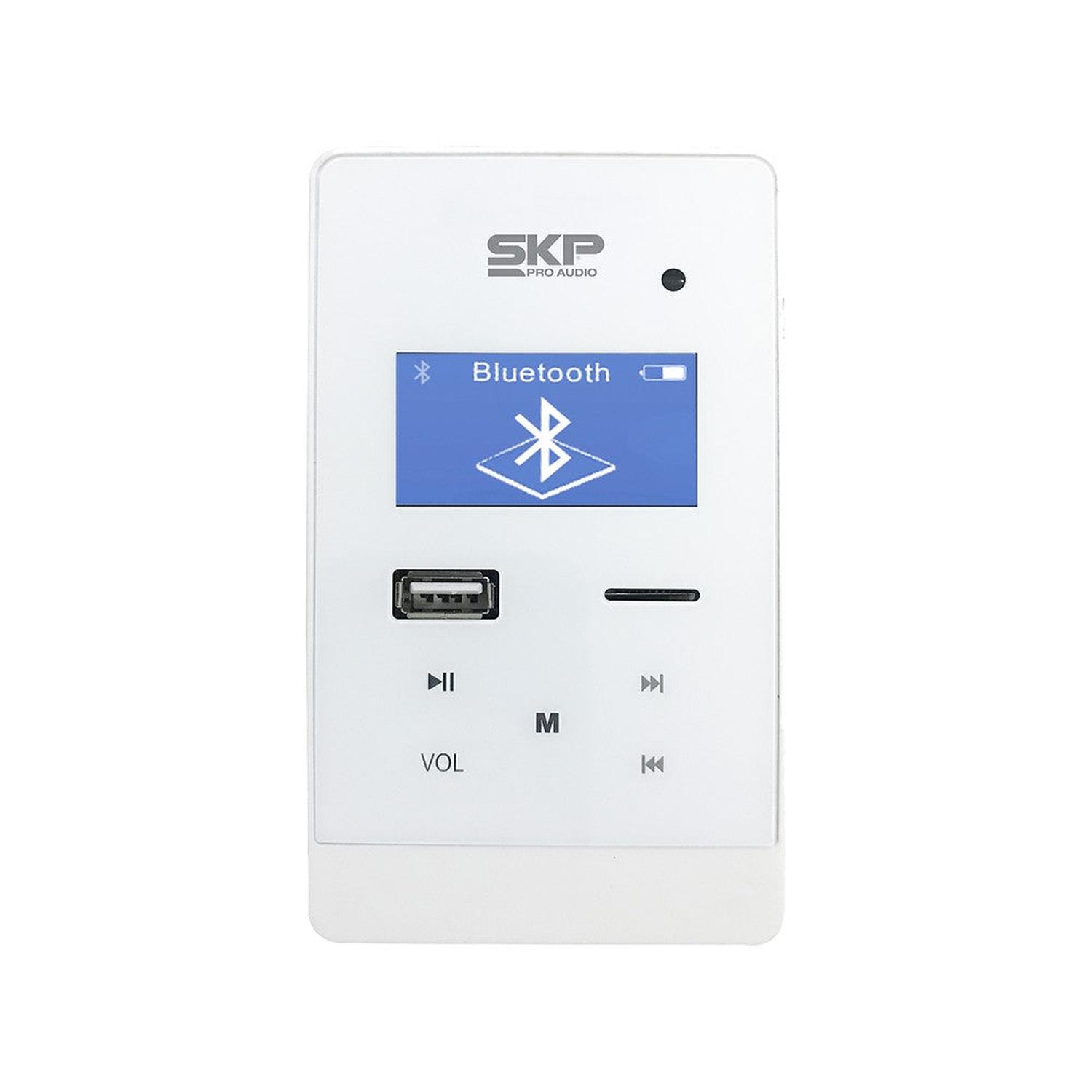 AMPLIFICADOR SKP PW 050BT DE PARED - 2