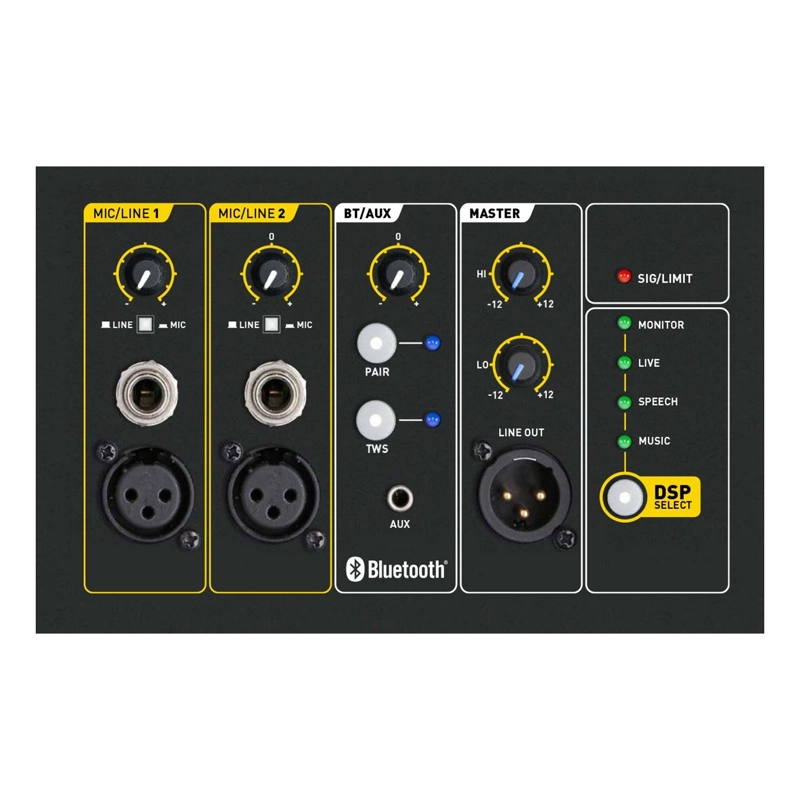PARLANTE PROFESIONAL ACTIVO SKP Q10 MK2 - 3