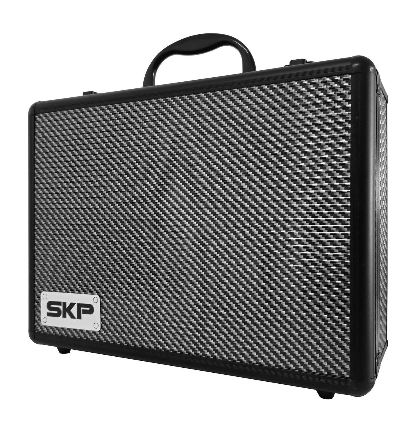 MICROFONO INALAMBRICO DOBLE PROFESIONAL SKP CLARITY II - 6